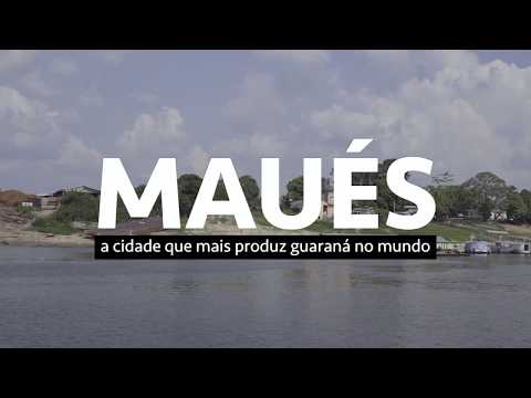 A cidade que mais produz guaraná no mundo
