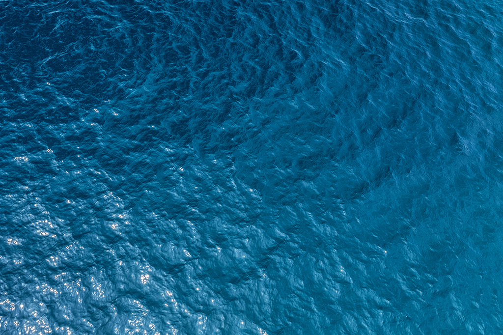 A Grande Ilha de Lixo do Pacífico é tão grande que já tem um ecossistema