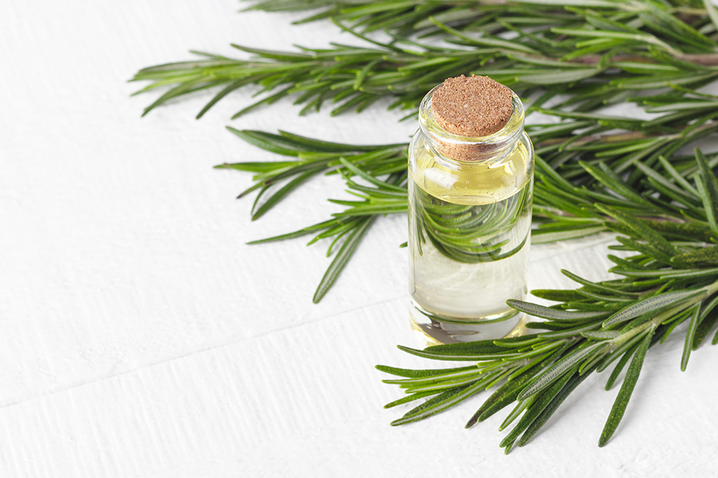 O que são os florais de Bach?