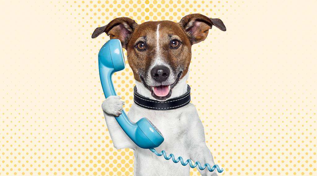 Quem definiu que o número de telefone da polícia seria 190?