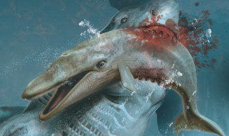 Qual foi o maior tubarão que já existiu?