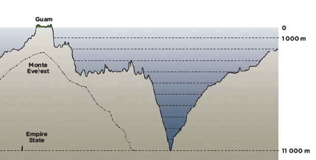 fossa-maritima-grafico