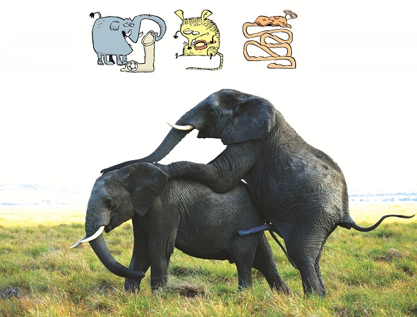 Que bicho tem o maior pênis do mundo?