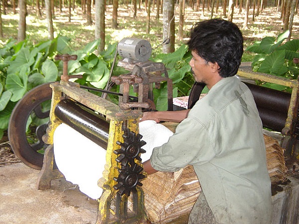 640px-Processing_rubber_in_Thailand