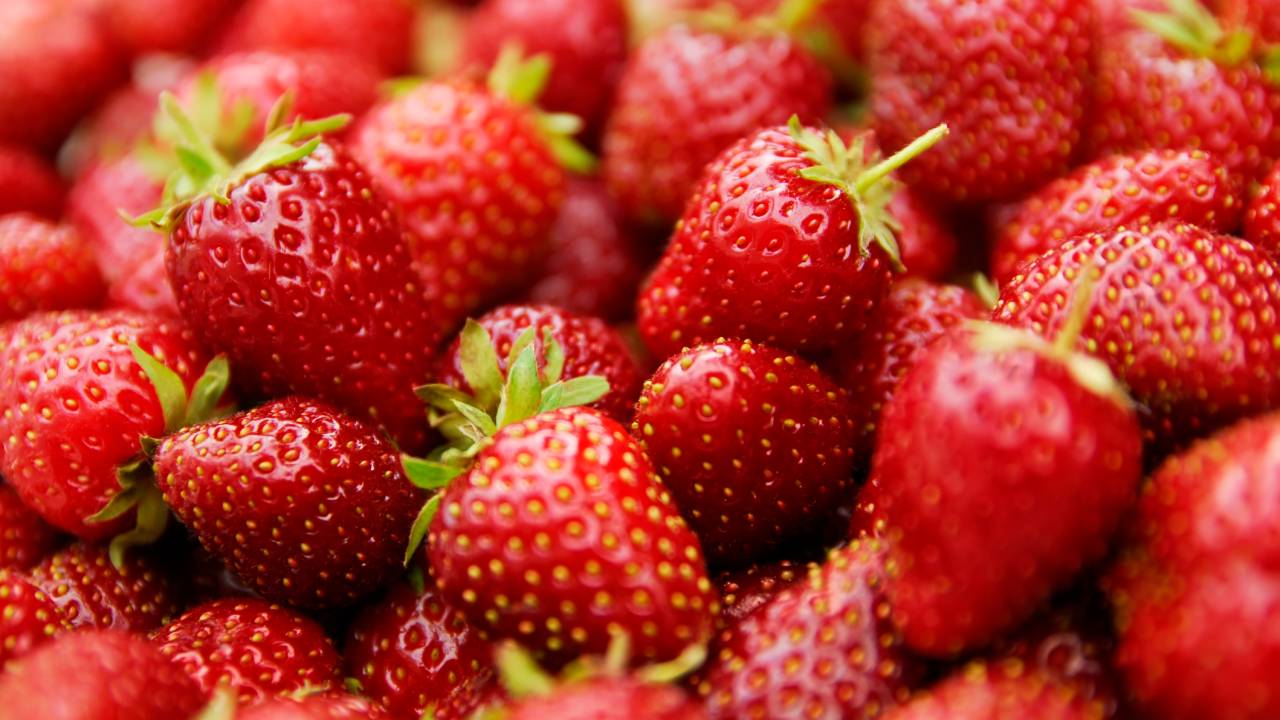 Morango