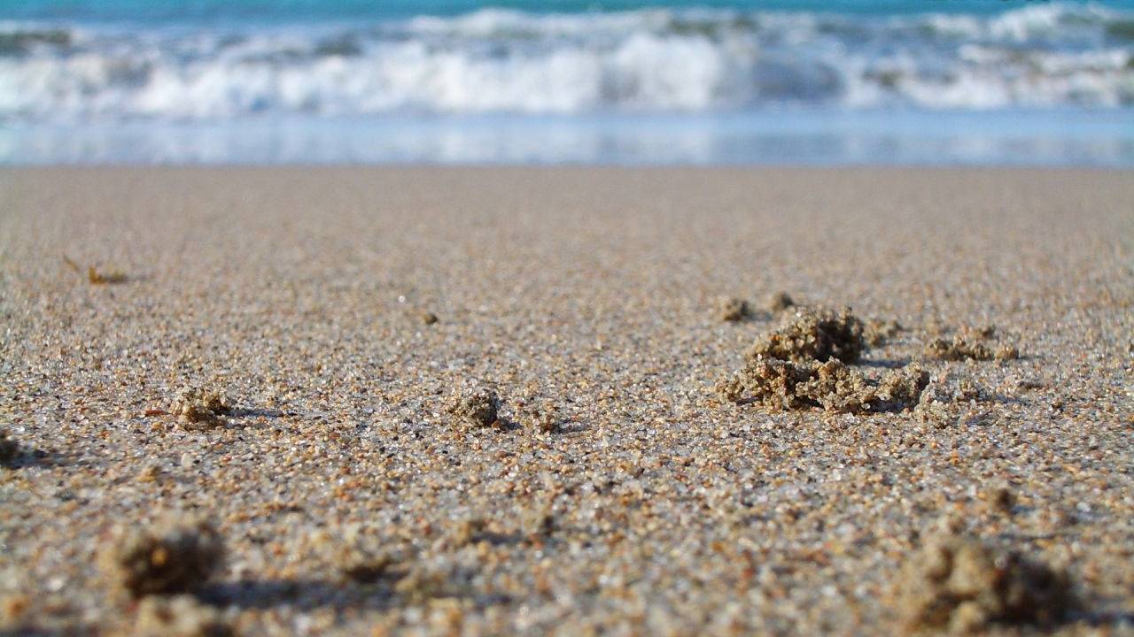 Areia
