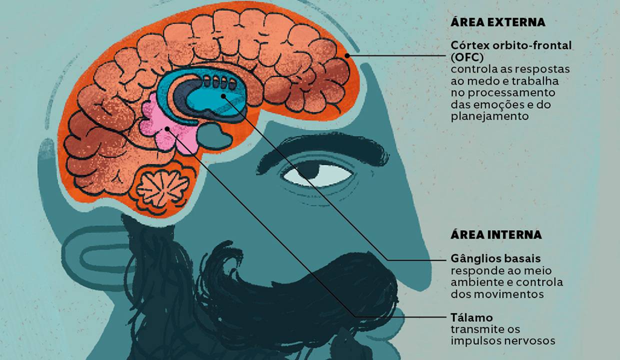 cerebro