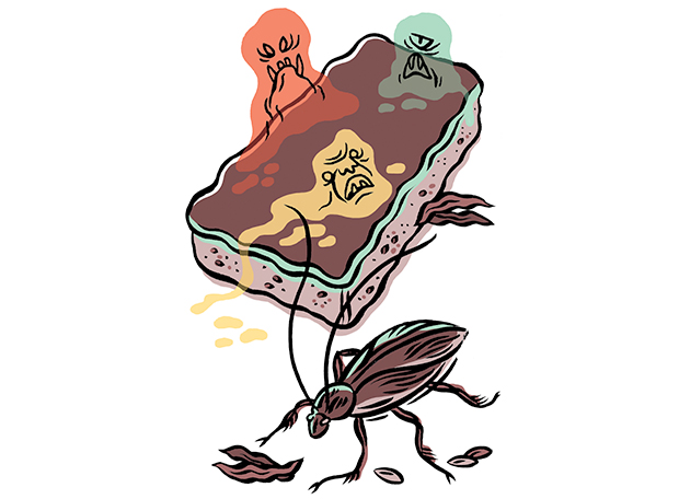 Quais os objetos mais nojentos e contaminados do nosso dia a dia?