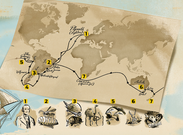 Como foi a viagem que levou Darwin a criar a Teoria da Evolução?