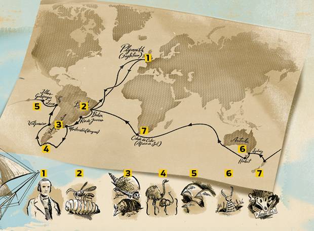 Como foi a viagem que levou Darwin a criar a Teoria da Evolução?