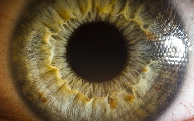 Como é feita a leitura biométrica de íris e retina?