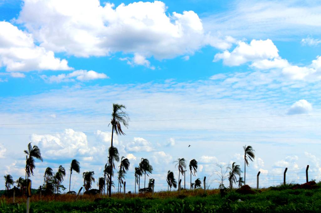 O que são monções?