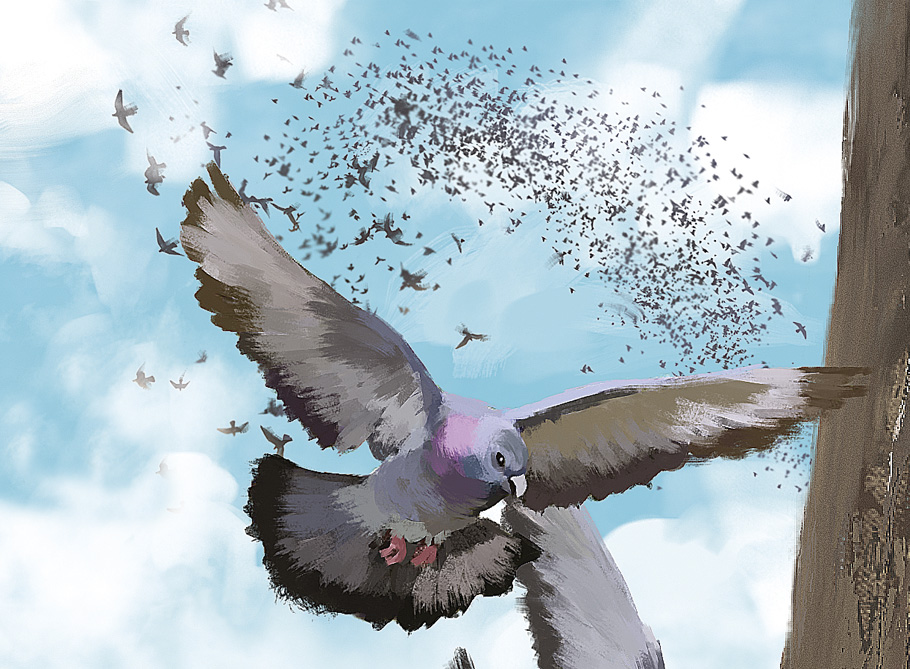 Como são organizadas as movimentações de grupos de animais?