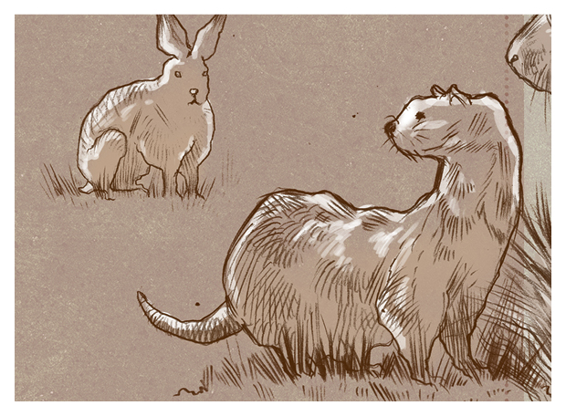 Animais se apaixonam?