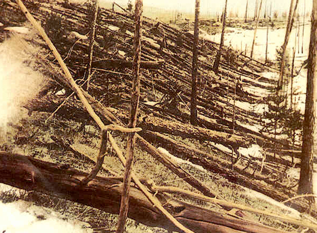 Tunguska arvores caidas