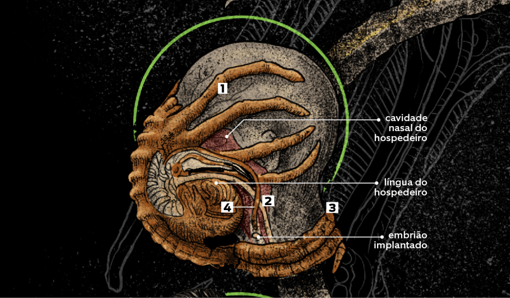 a-anatomia-do-alien-3