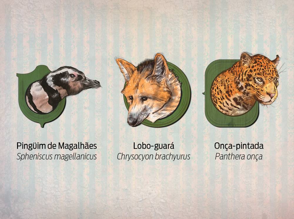 Como um animal é declarado extinto?