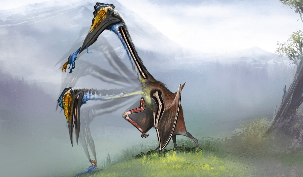 Como era a anatomia de um pterossauro gigante?