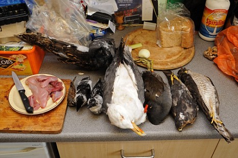 Que país mais consome carne no mundo?