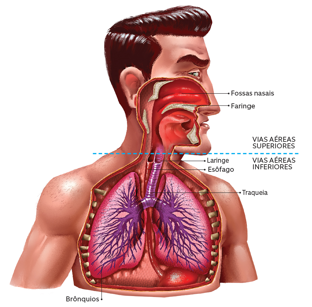 Engolir catarro faz mal para a saúde?