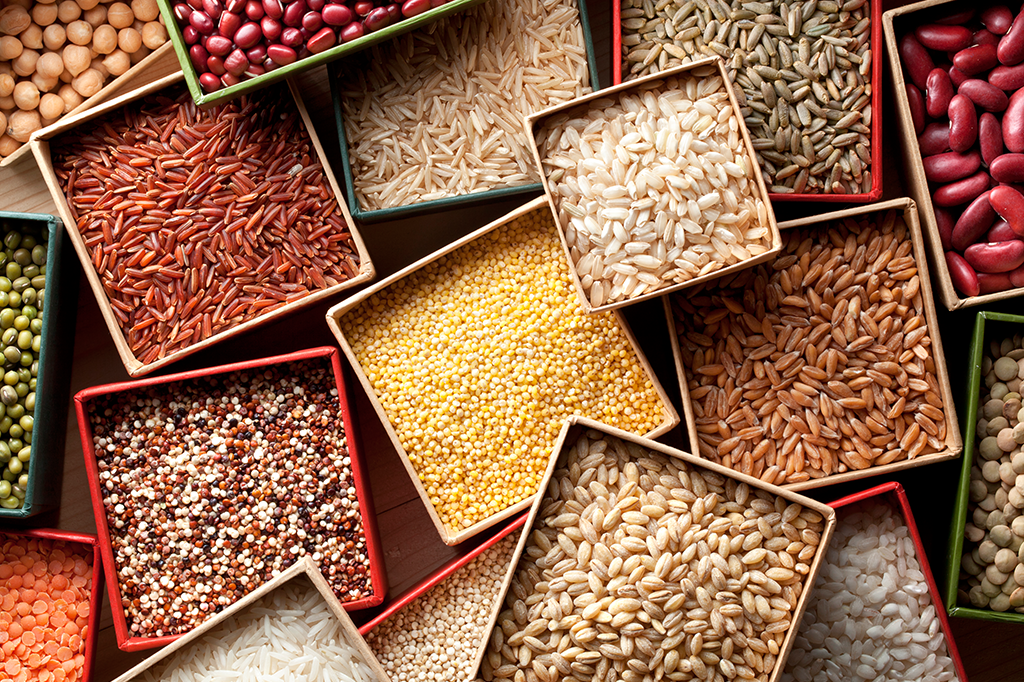 Qual a diferença entre cereal e grão?