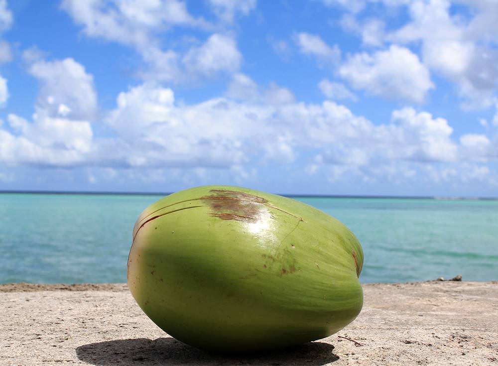 Como a água se forma dentro do coco?