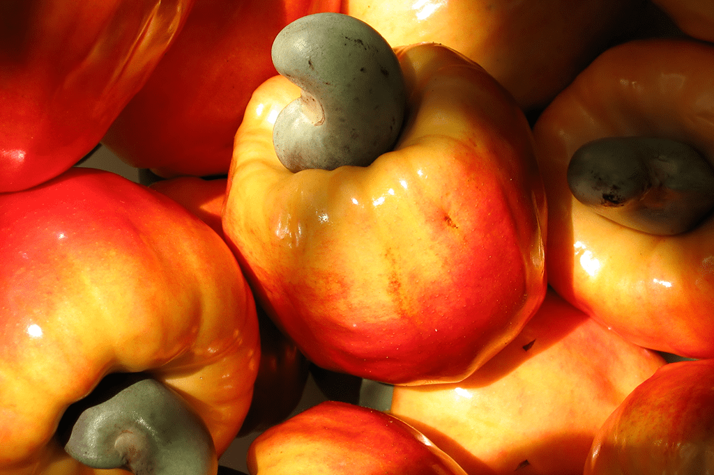 Que frutas são originais do Brasil?