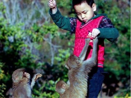 Macacos dominam vilarejo na China