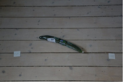 Pepino faz previsões para a Euro 2016