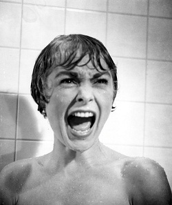 Psycho (1960)
Directed by Alfred Hitchcock
Shown: Janet Leigh (as Marion Crane)