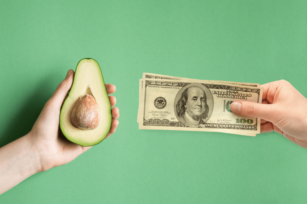 Universidades dos EUA pagam 300 dólares para voluntários comerem abacate todos os dias