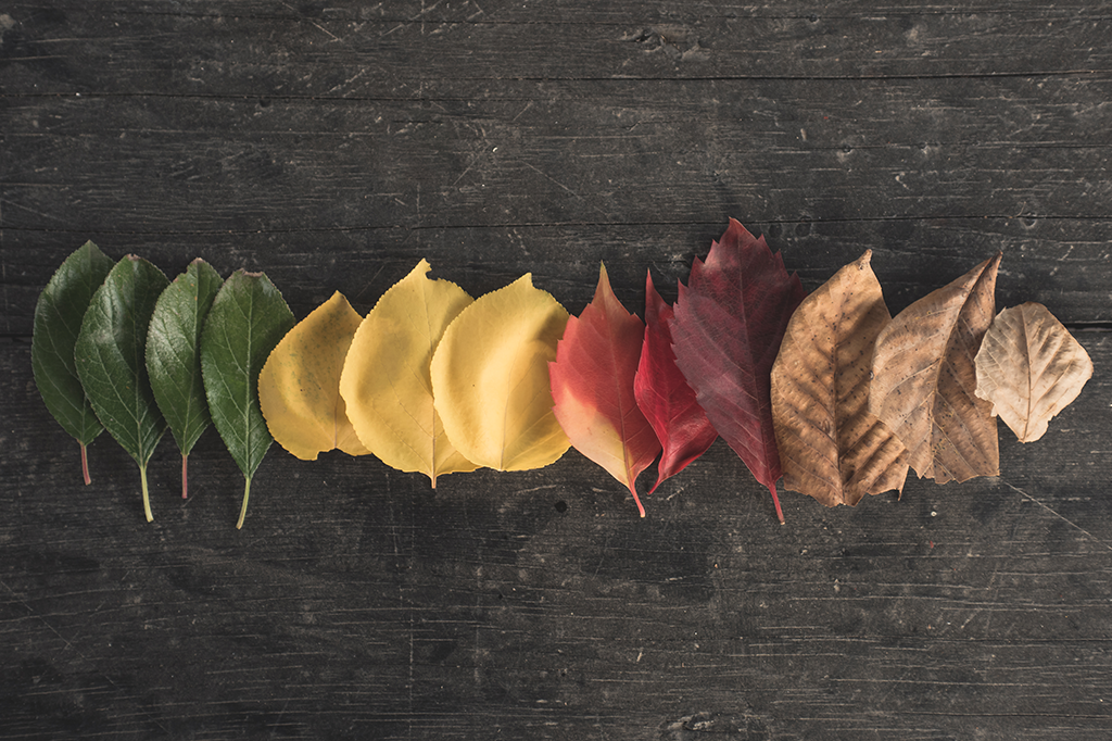 Qual é a origem dos nomes das estações do ano?