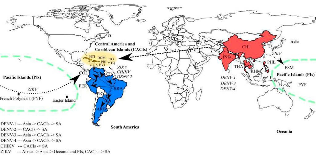 Mapa mostra a rota do vírus zika até chegar ao Brasil