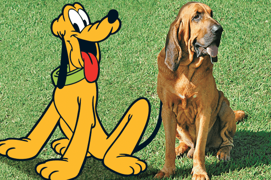 Pluto; Bloodhound