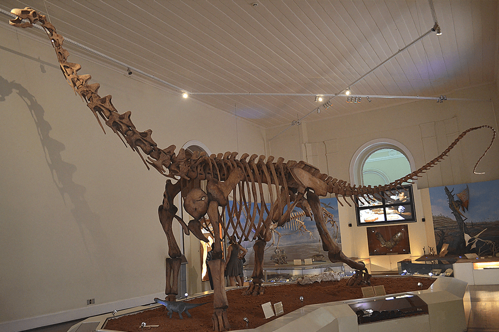 Os 11 maiores dinossauros já encontrados no Brasil