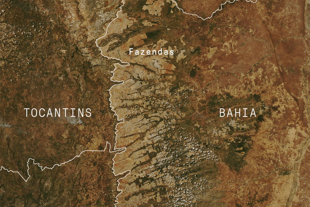 O avanço da soja no cerrado brasileiro, mapeado pela Nasa