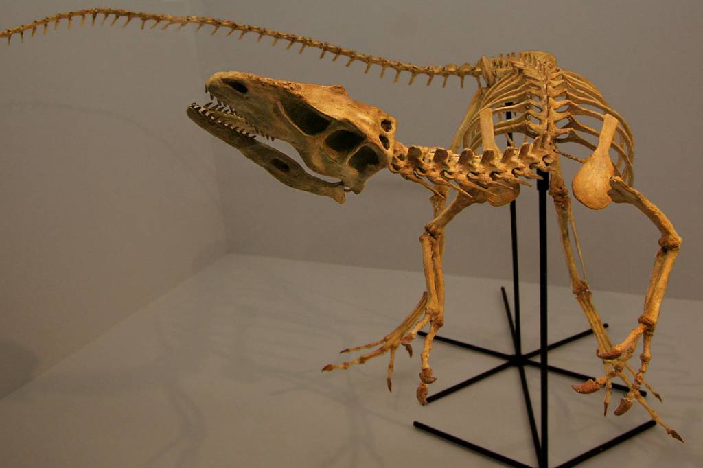 Santanaraptor