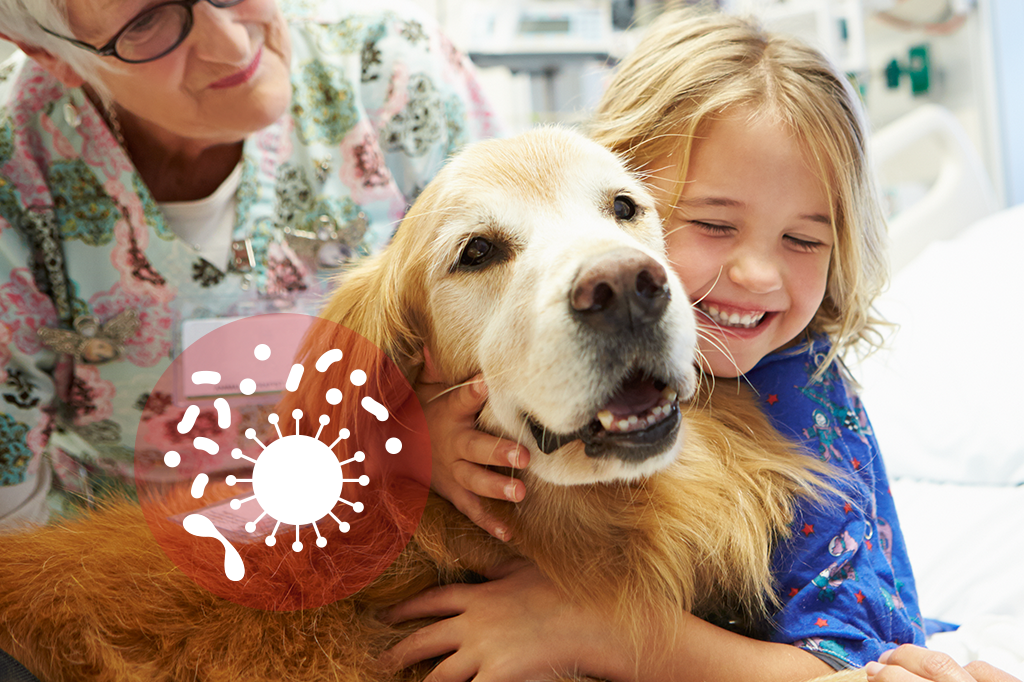 Terapia com cães pode transmitir bactérias super resistentes