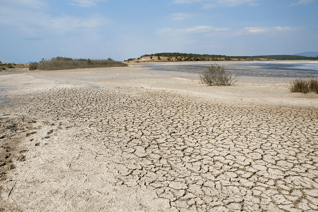 Mapa indica locais com mais chances de haver disputas por água