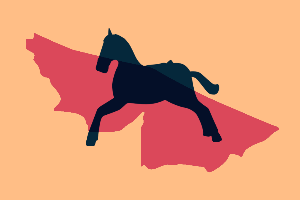 É verdade que o Brasil comprou o Acre por um cavalo?