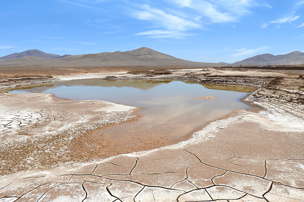 Após 500 anos, choveu no deserto do Atacama – mas teria sido melhor não