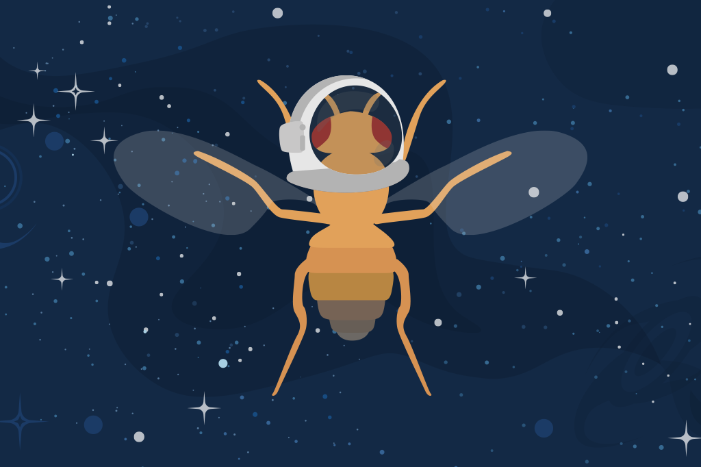 Mosca no espaço