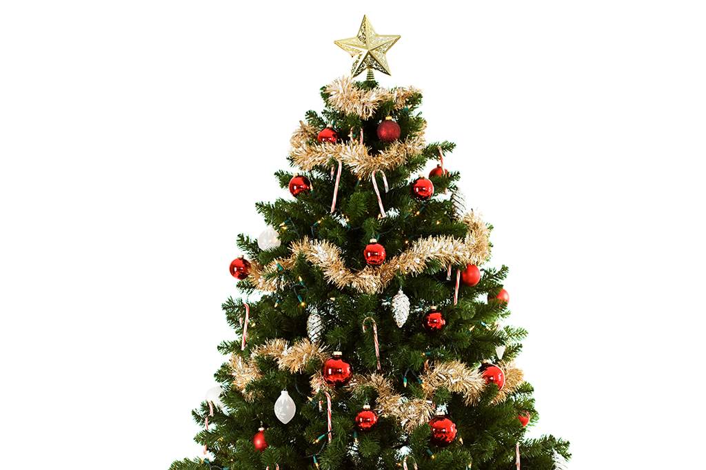Qual é a origem da árvore de Natal?