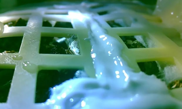 broto algod&atilde;o lua