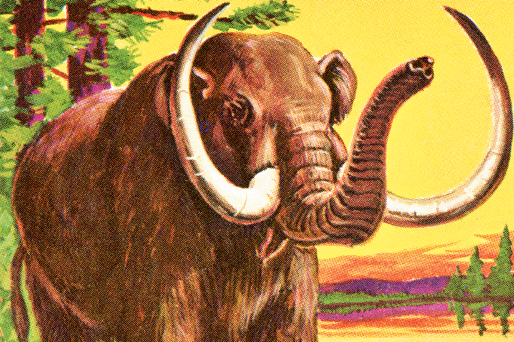 Arqueólogos encontram fragmento de lança humana em costela de mamute