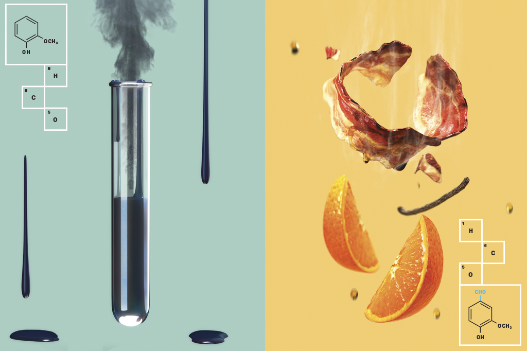 Ciência dos aromas: os segredos por trás do gosto da sua comida
