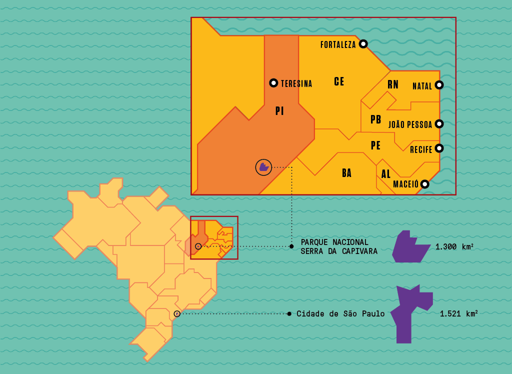 SI_400_Capivara_mapa