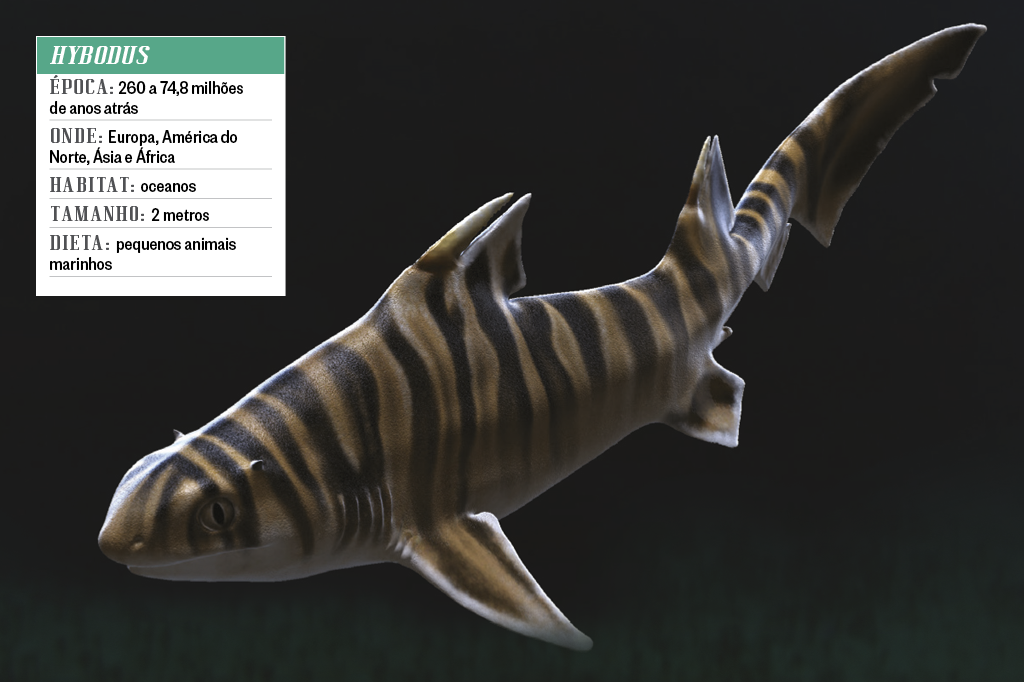 Hybodus Monstros aquáticos