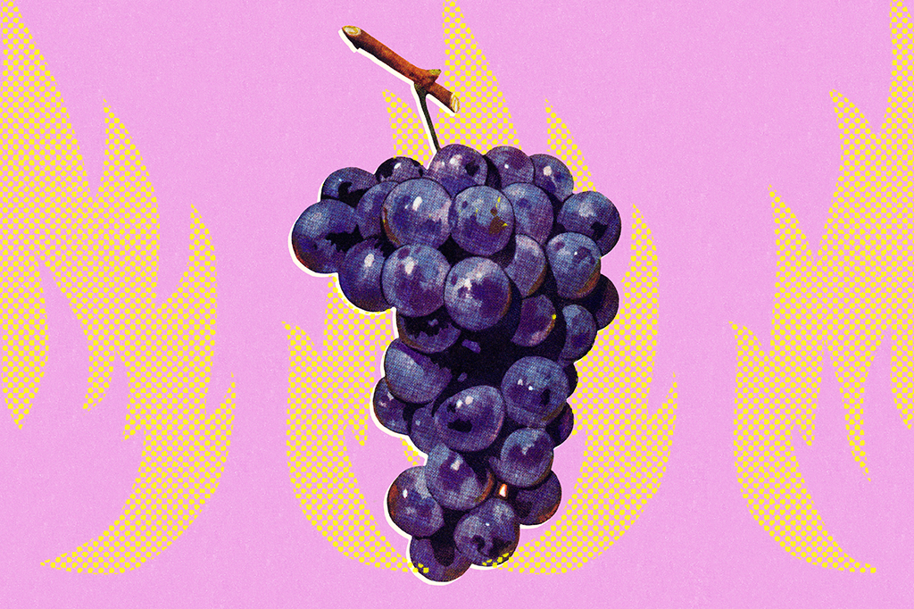 Por que uvas pegam fogo no micro-ondas, segundo a ciência