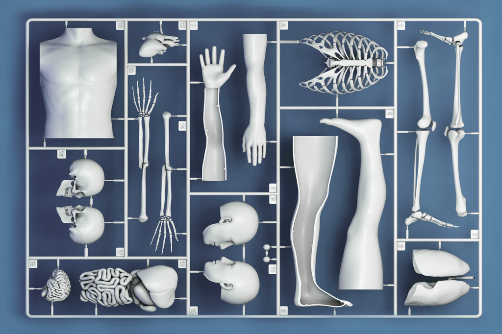 E se a venda de órgãos fosse legalizada?